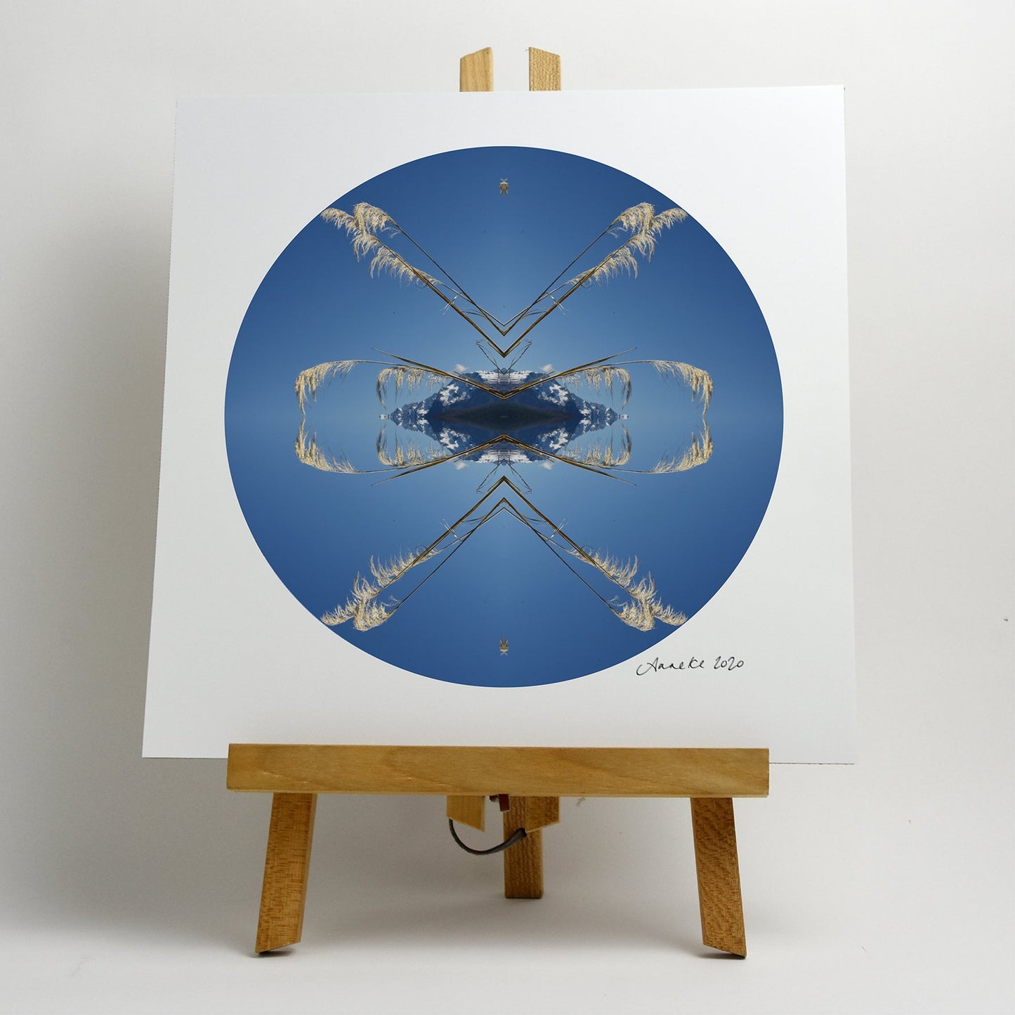 Aoraki Toi Toi 1 - Small Mandala Print