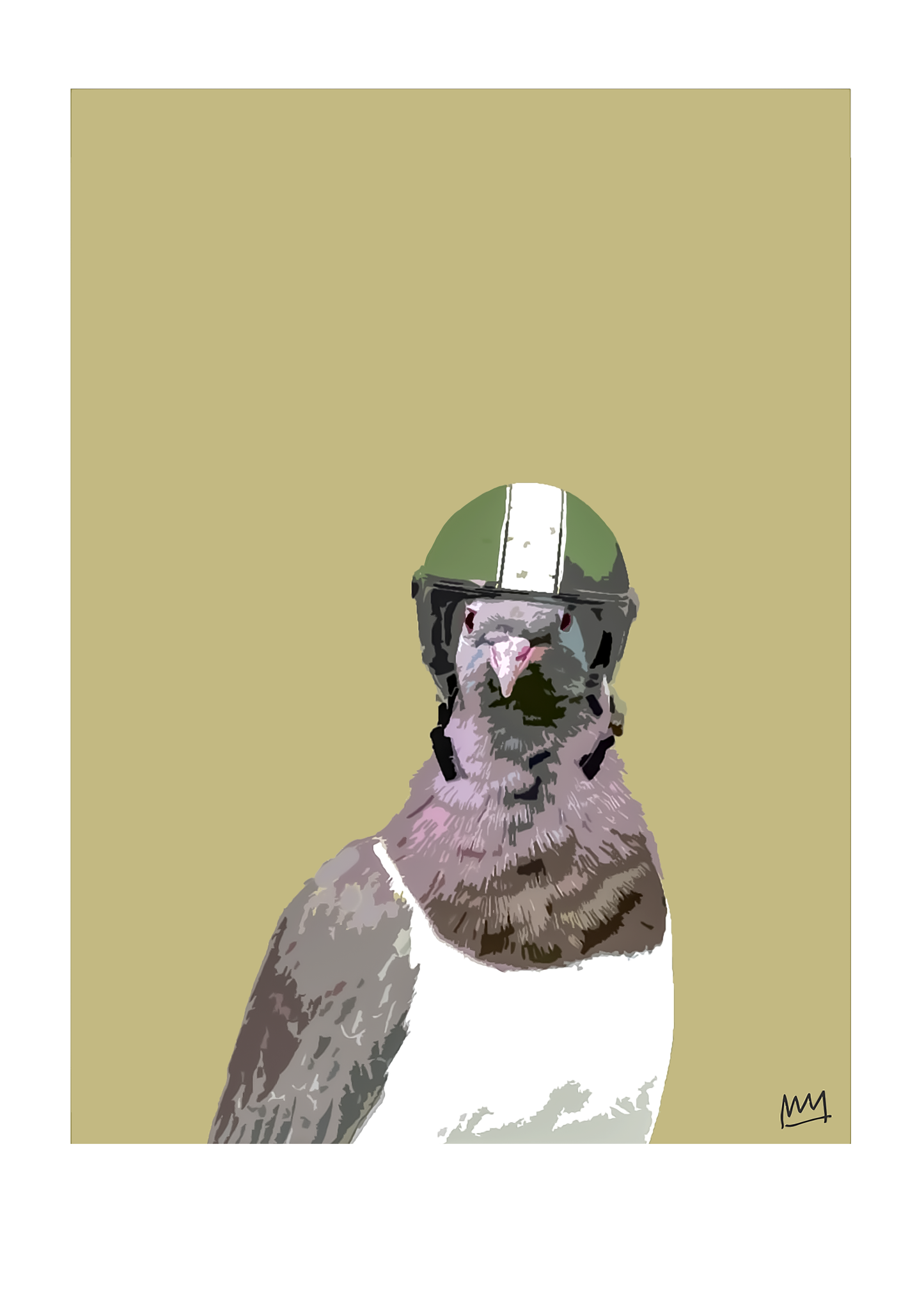 Kererū Crash Helmet