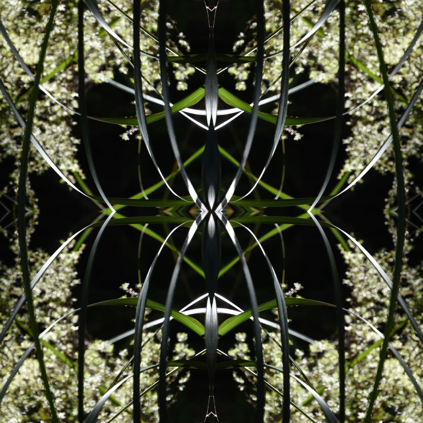 Dark Ruatahi Portal 4 - On Canvas
