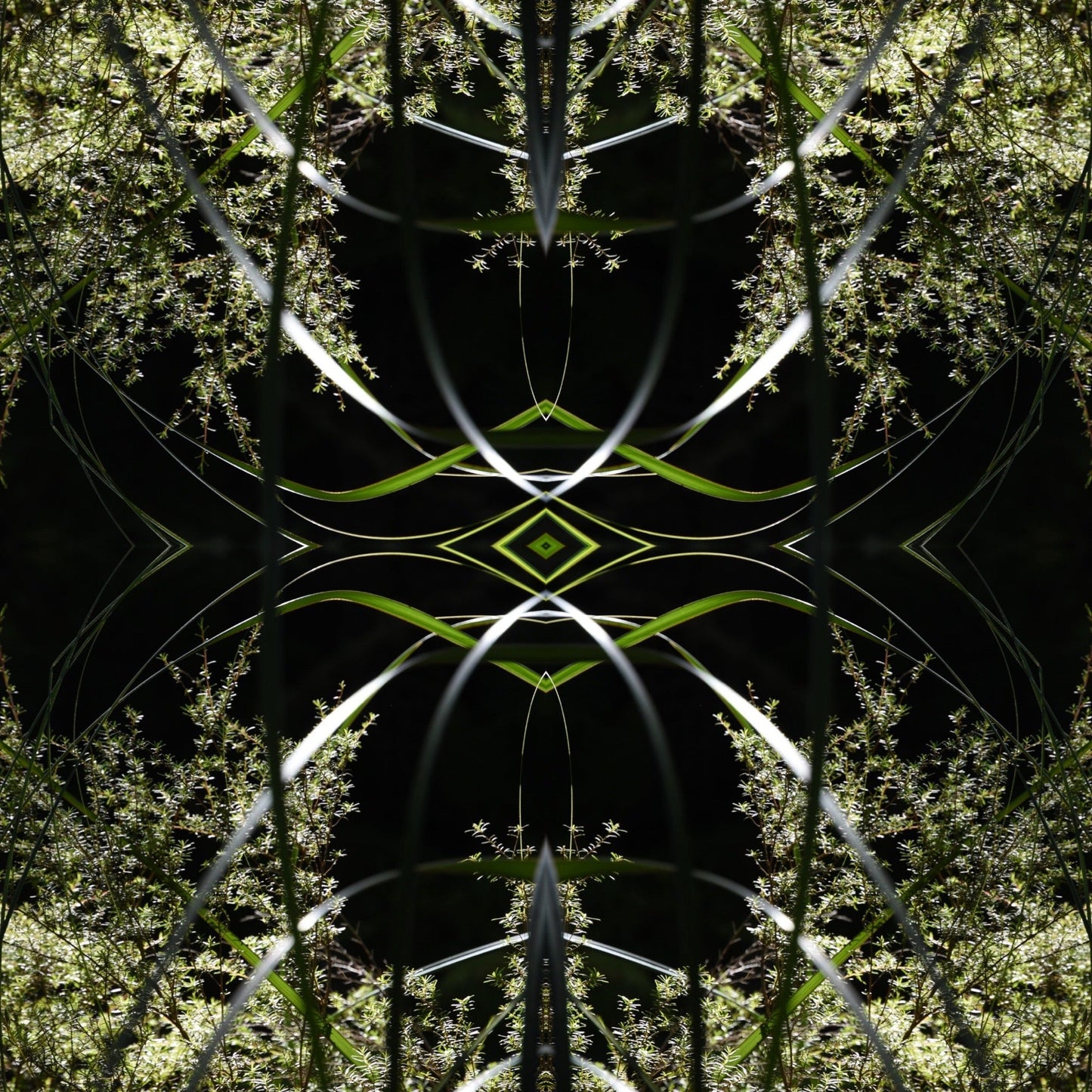 Dark Ruatahi Portal 5 - On Canvas