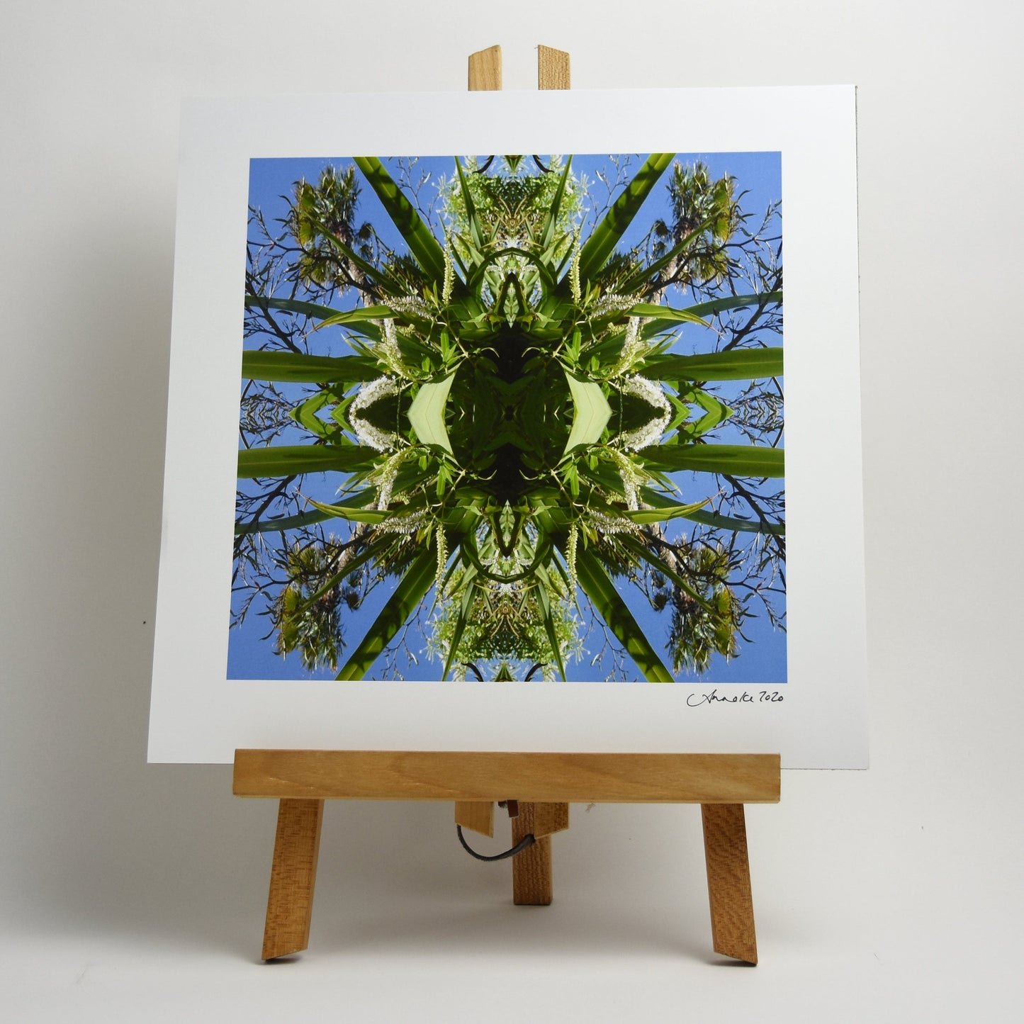 Harakeke 1 - Small Mandala Print