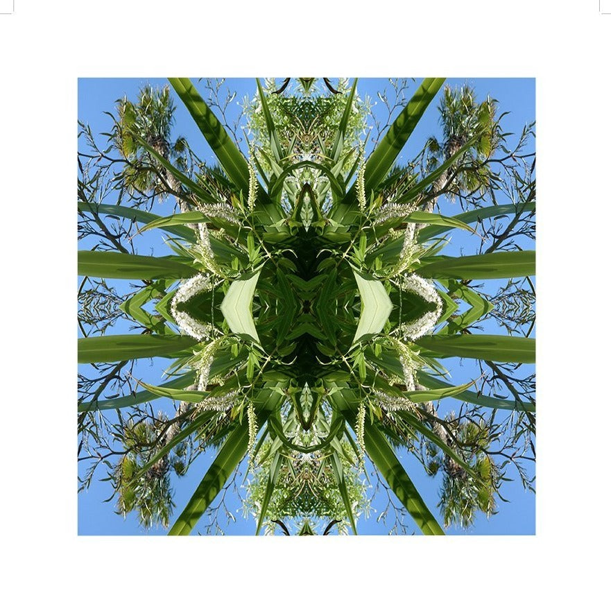 Harakeke Unframed