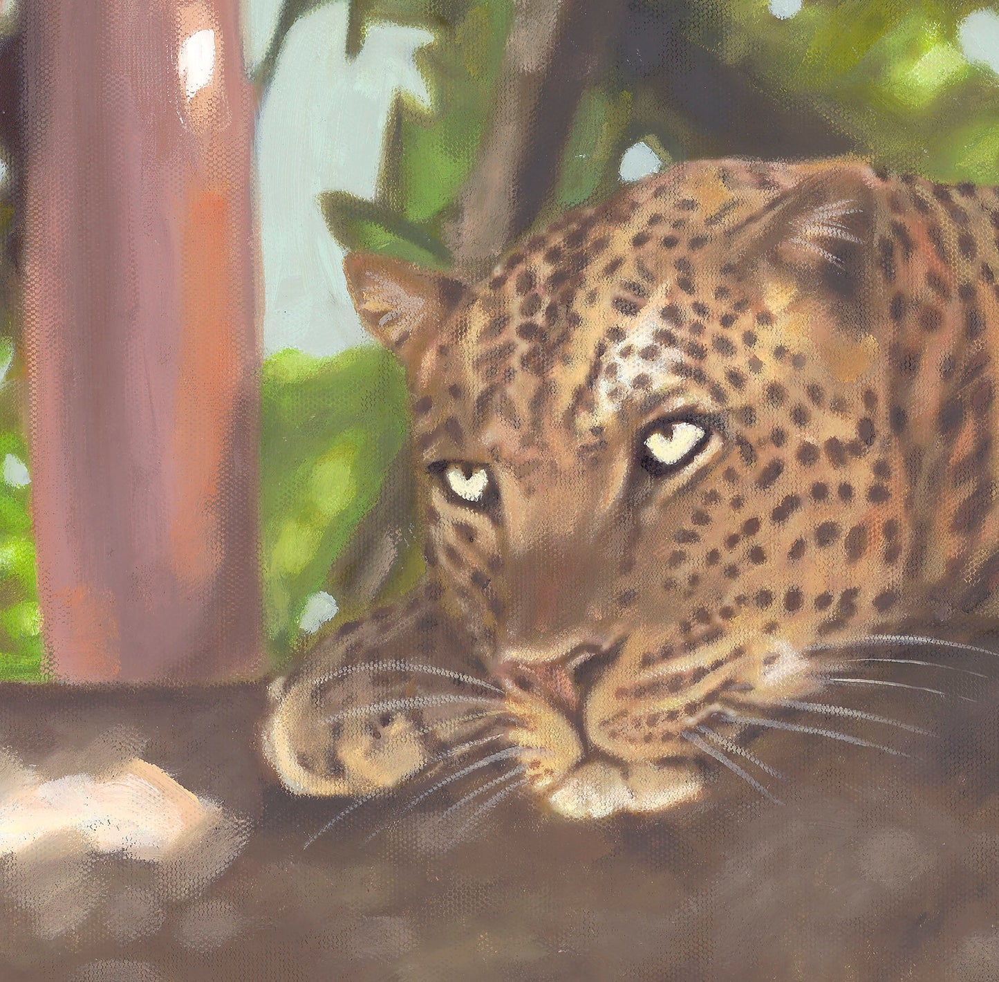 Leopard Tree