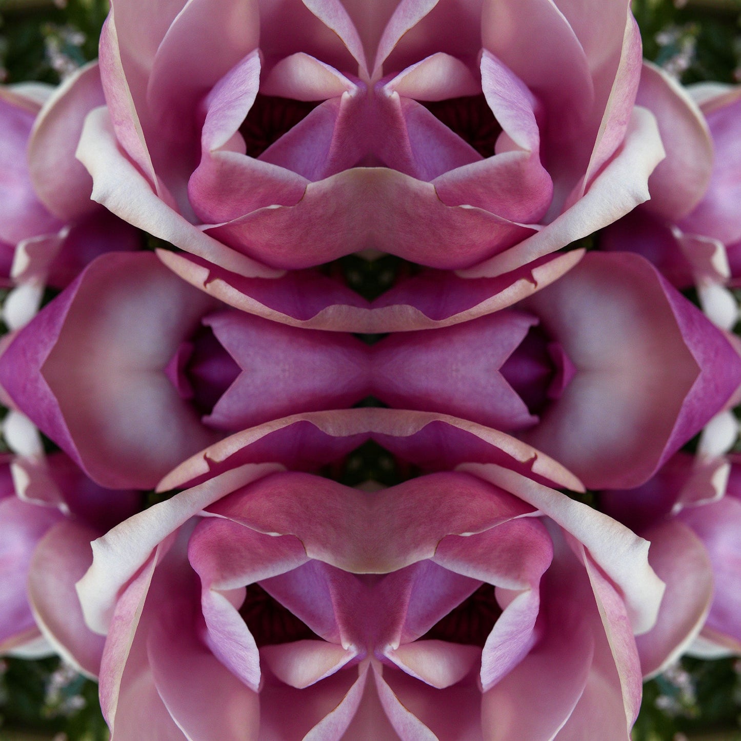 Magnolia Heart 2 - Canvas