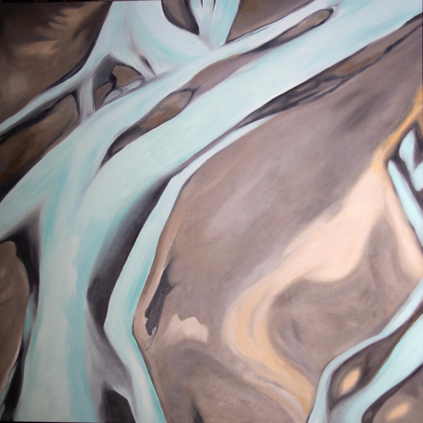 Braided River
