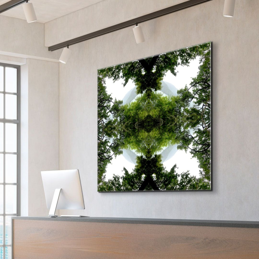 Modern interior with a large mirror reflecting trees and sky on a white wall.