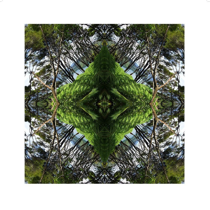 Sounds Native 2 Unframed
