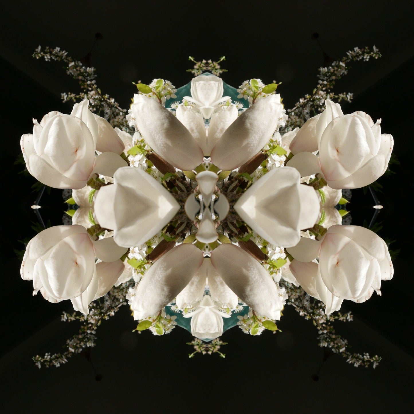 Magnolia Crown 3 - Canvas