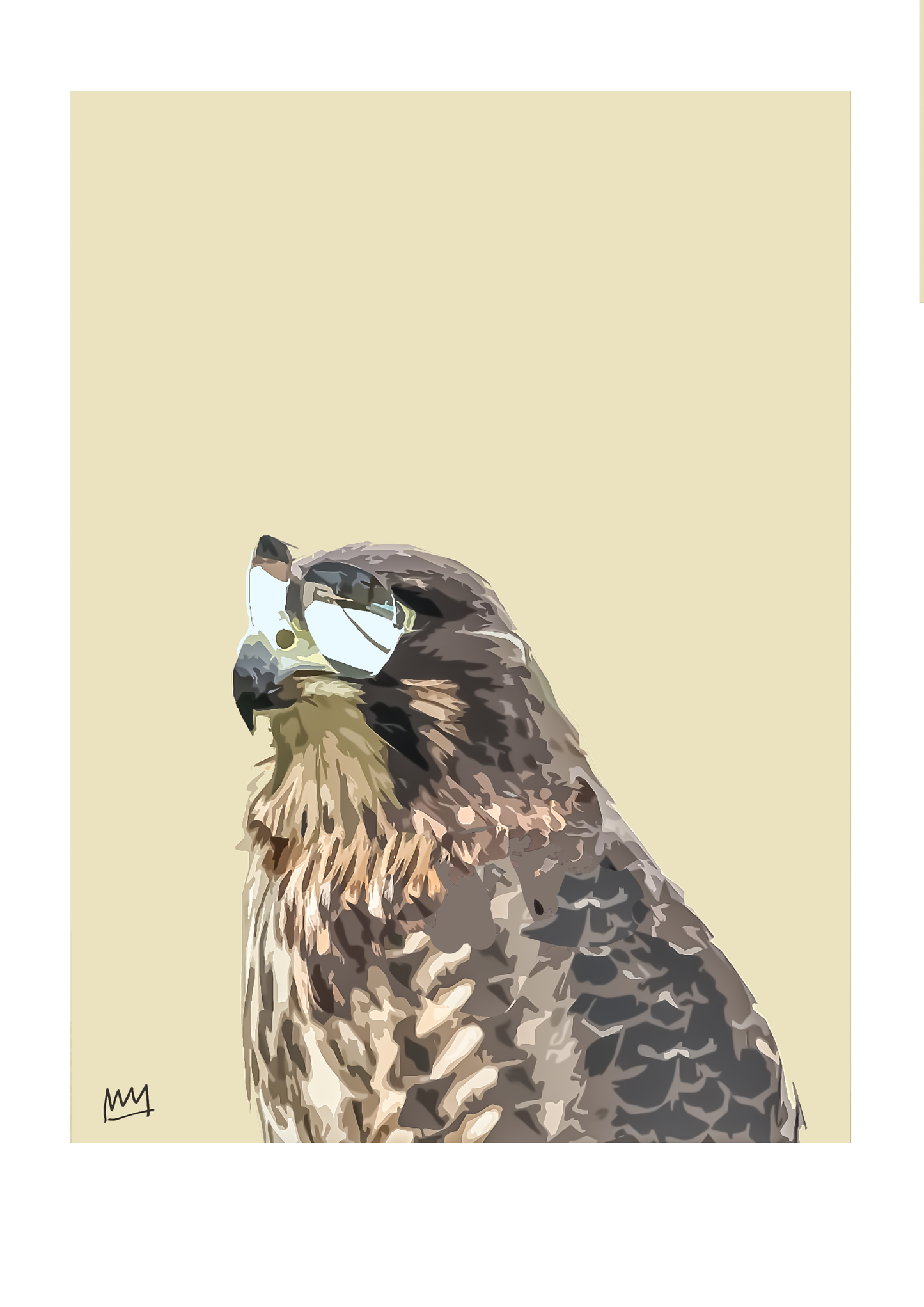 KĀREAREA COOL