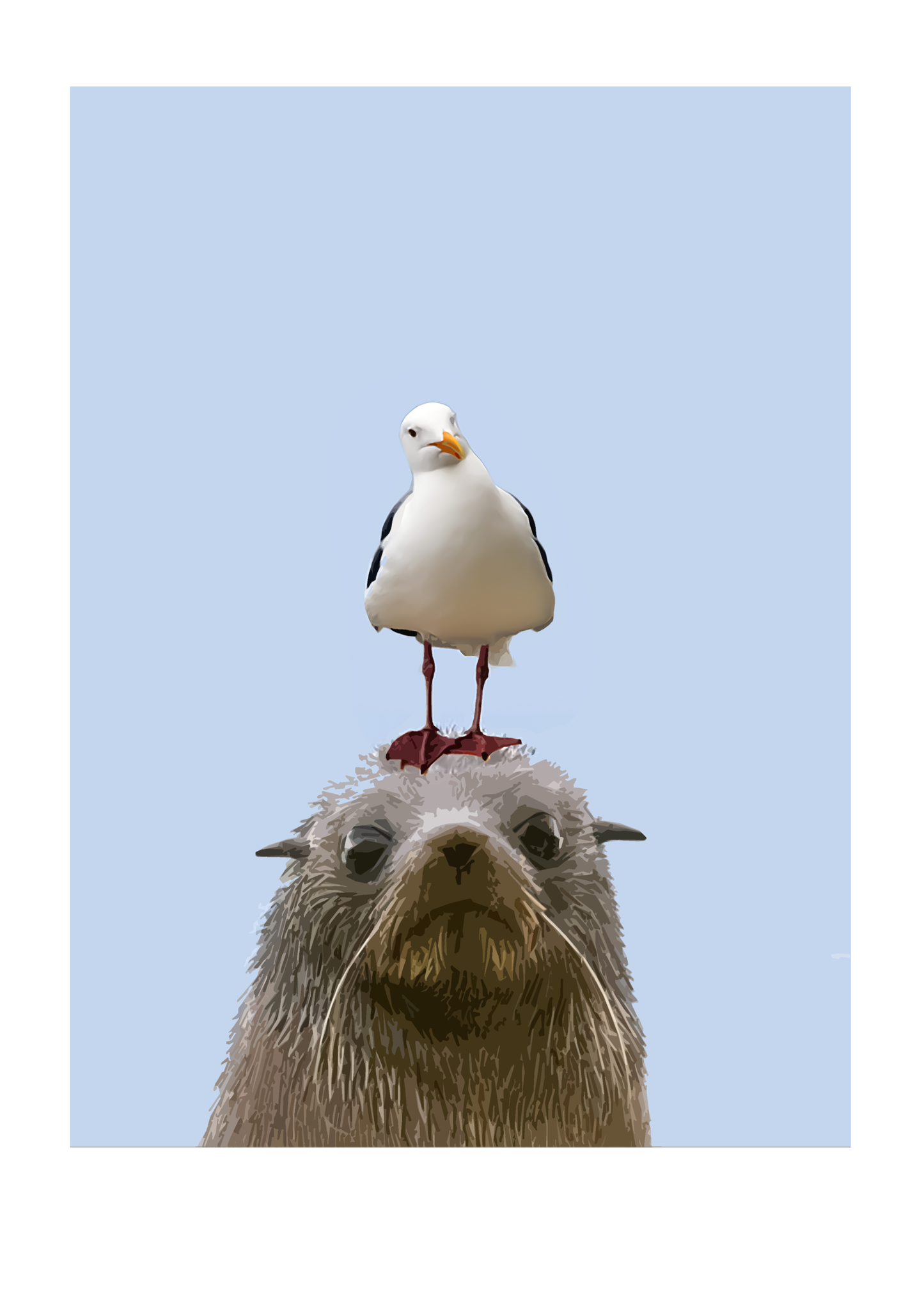 Seagull perched on a seal's head against a clear blue sky