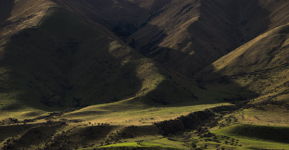 Velvet Hills