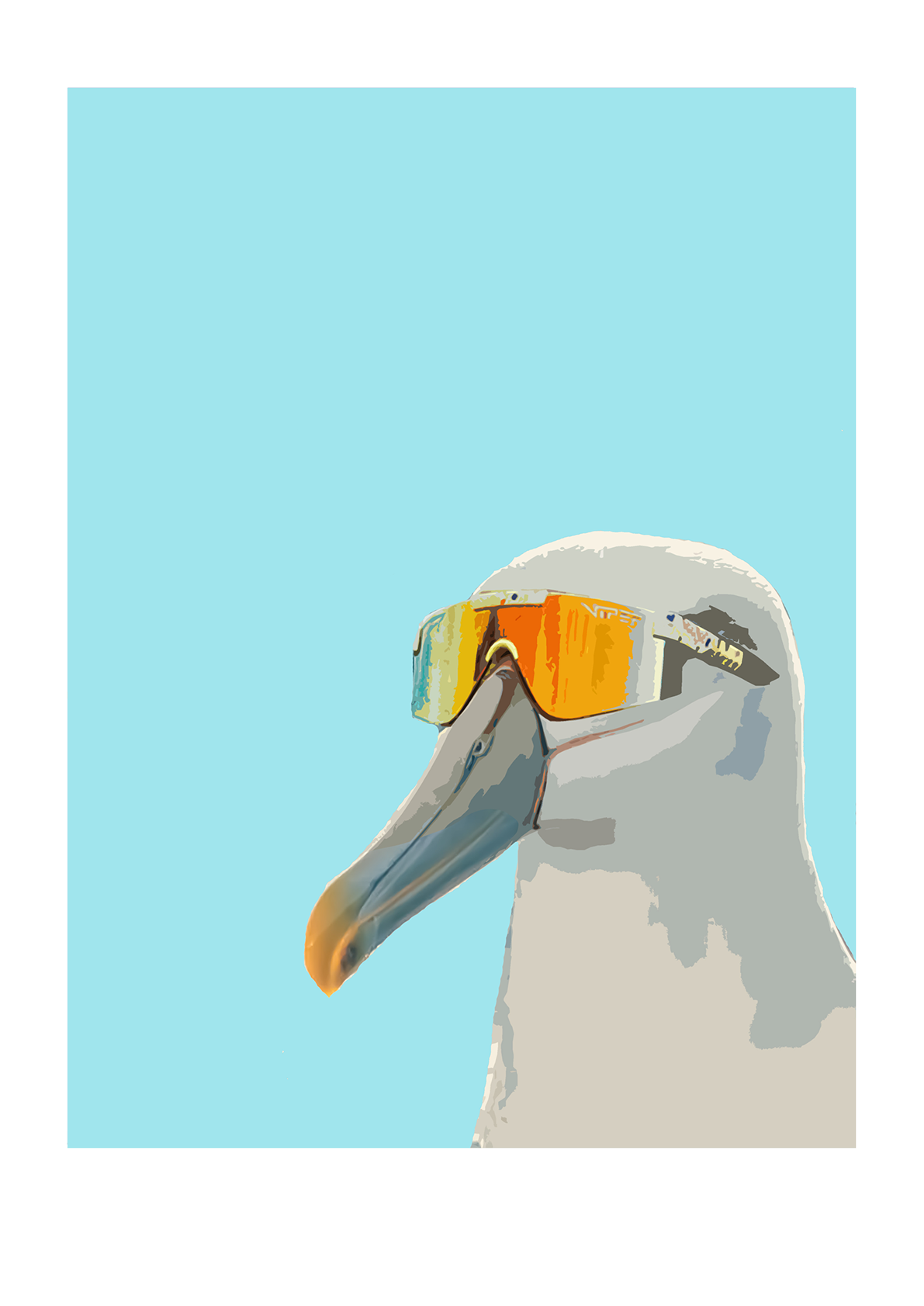 Just Albatrossing Around