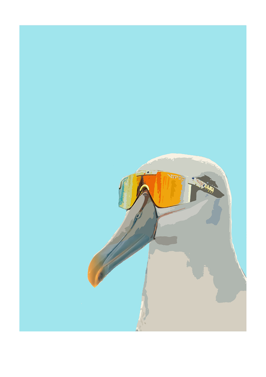 Just Albatrossing About