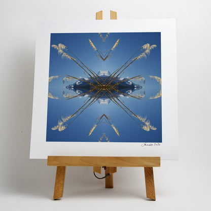 Aoraki Toi Toi 2 - Small Mandala Print