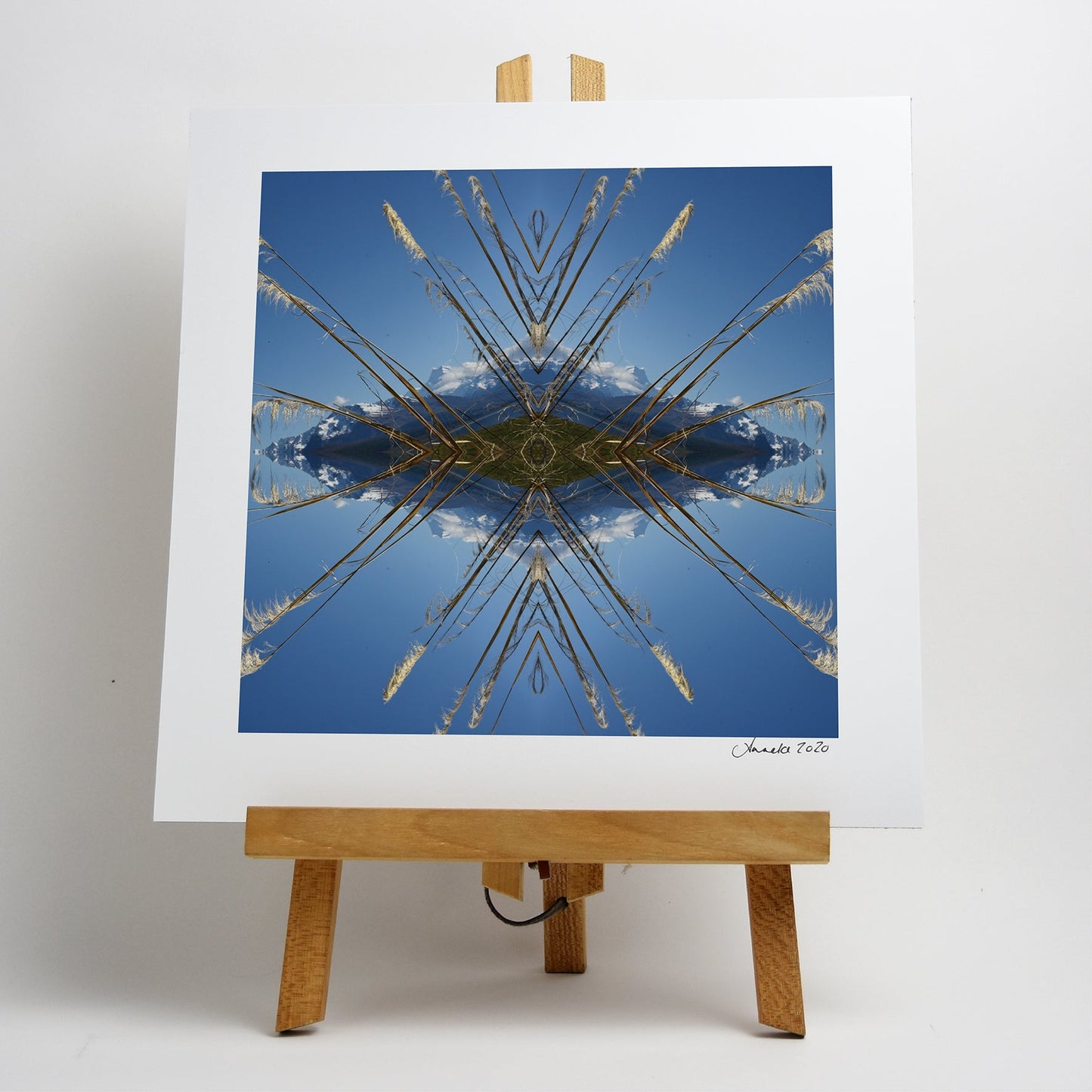 Aoraki Toi Toi 3 - Small Mandala Print
