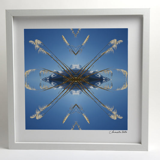 Aoraki Toi Toi 2 - Small Mandala Print