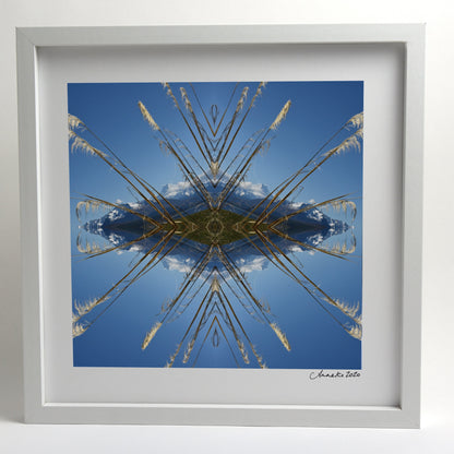 Aoraki Toi Toi 3 - Small Mandala Print