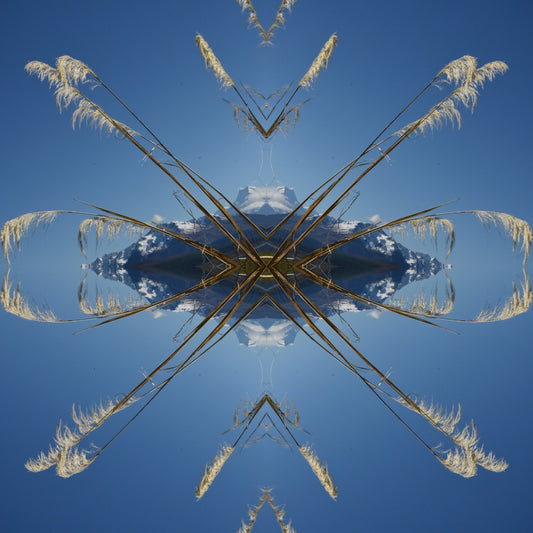 Aoraki Toi Toi 2 - Small Mandala Print