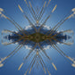 Aoraki Toi Toi 3 - Small Mandala Print