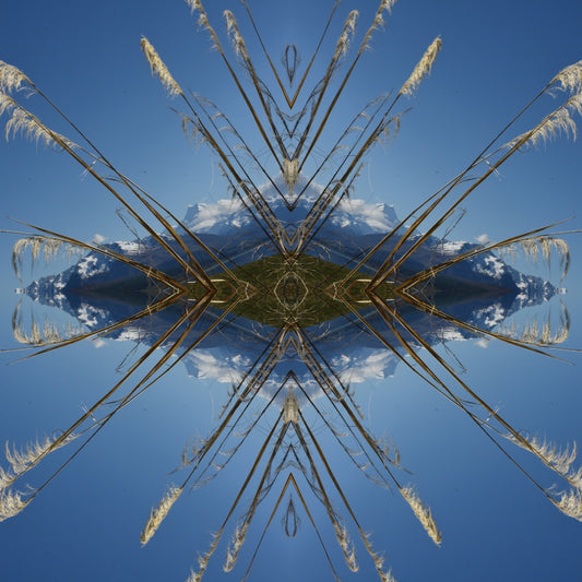 Aoraki Toi Toi 3 - Small Mandala Print