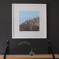 Beaut Day - Original Framed Artwork - Melissa Sharplin