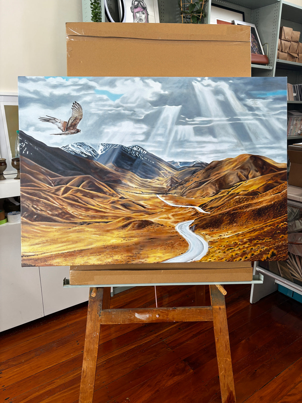Lindis Pass Canvas