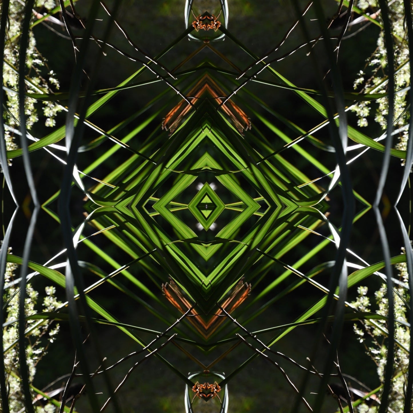 Dark Ruatahi Portal 1 - On Canvas