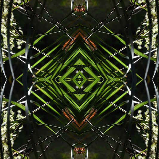 Dark Ruatahi Portal 1 - On Canvas