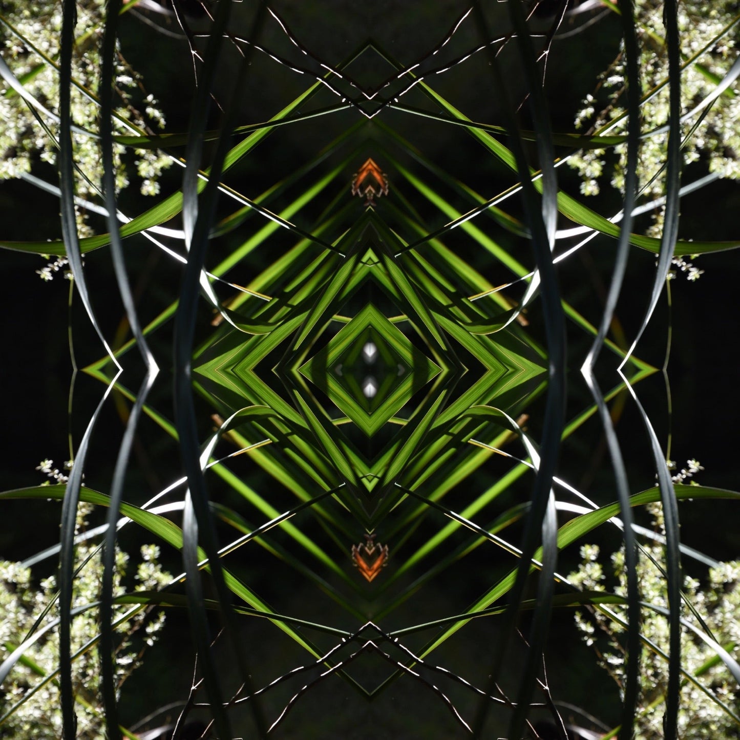 Dark Ruatahi Portal 2 - On Canvas