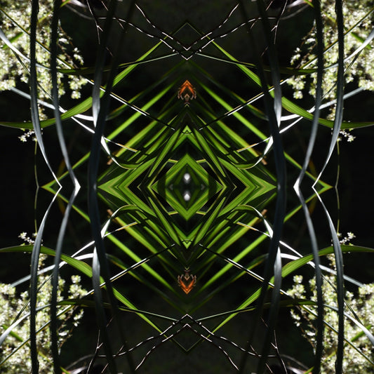 Dark Ruatahi Portal 2 - On Canvas