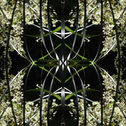 Dark Ruatahi Portal 4 - On Canvas