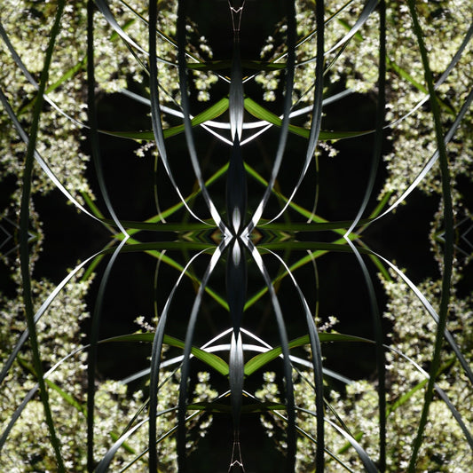 Dark Ruatahi Portal 4 - On Canvas