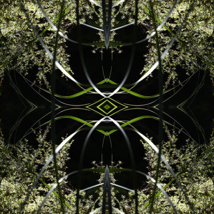 Dark Ruatahi Portal 5 - On Canvas