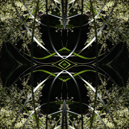 Dark Ruatahi Portal 5 - On Canvas