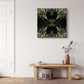 Dark Ruatahi Portal 5 - On Canvas