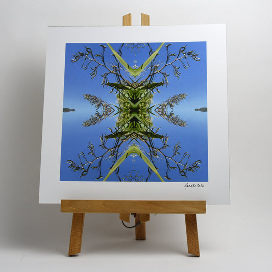 Harakeke 2 - Small Mandala Print