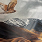 Lindis Pass Canvas