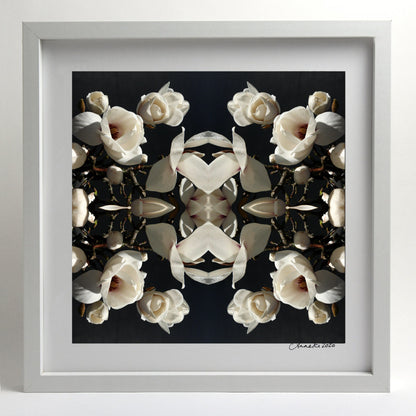 Magnolia Light 1 - Small Mandala Print