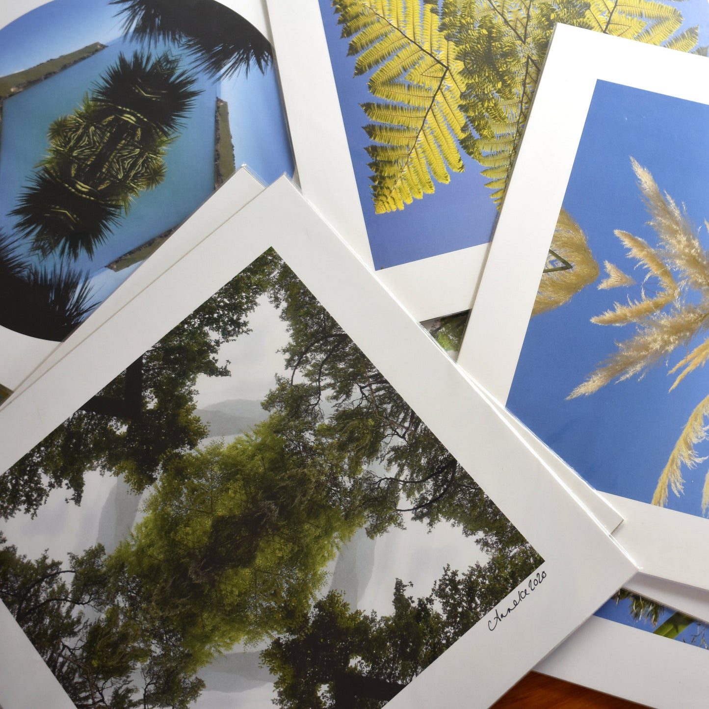 Taylors Harakeke - Small Mandala Print