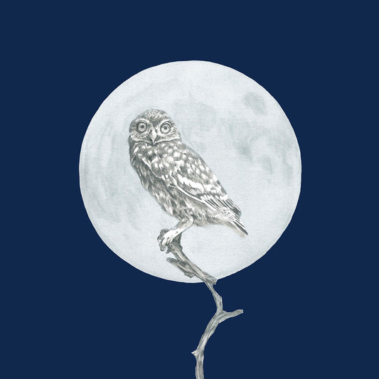 Moon and the Morepork