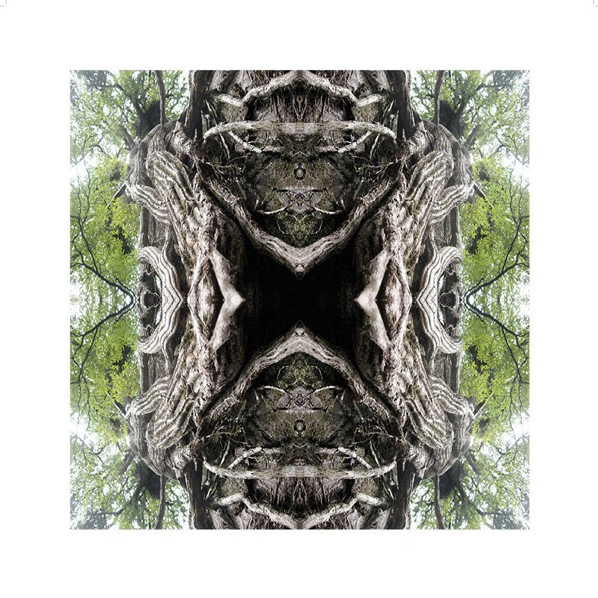 Mother Earth Unframed