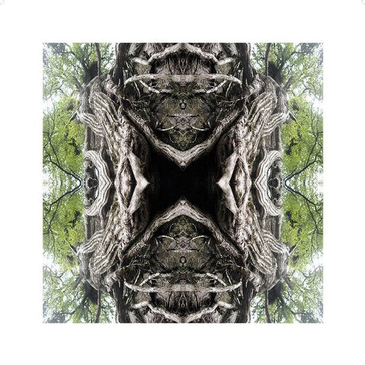 Mother Earth Unframed