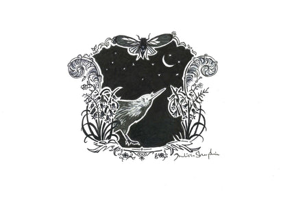 Night Bird