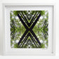 Native Canopy - Small Mandala Print