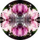 Velvet Heart 1 - Small Mandala Print