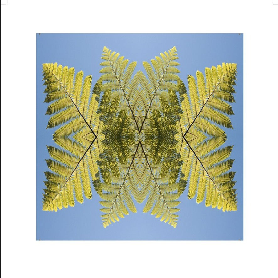 Punga, Unframed