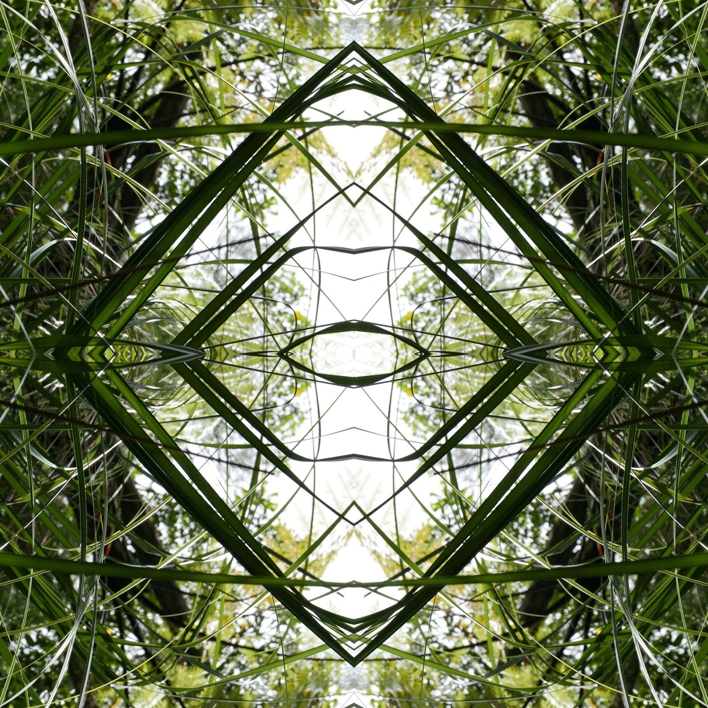 Ruatahi Diamond 1 - Canvas