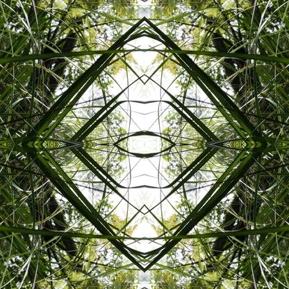 Ruatahi Diamond 1 - Canvas
