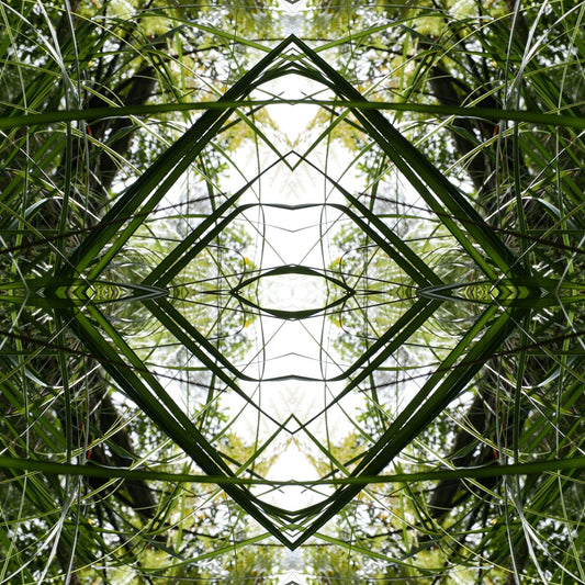 Ruatahi Diamond 1 - Canvas