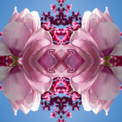 Magnolia Heart 1 - Canvas